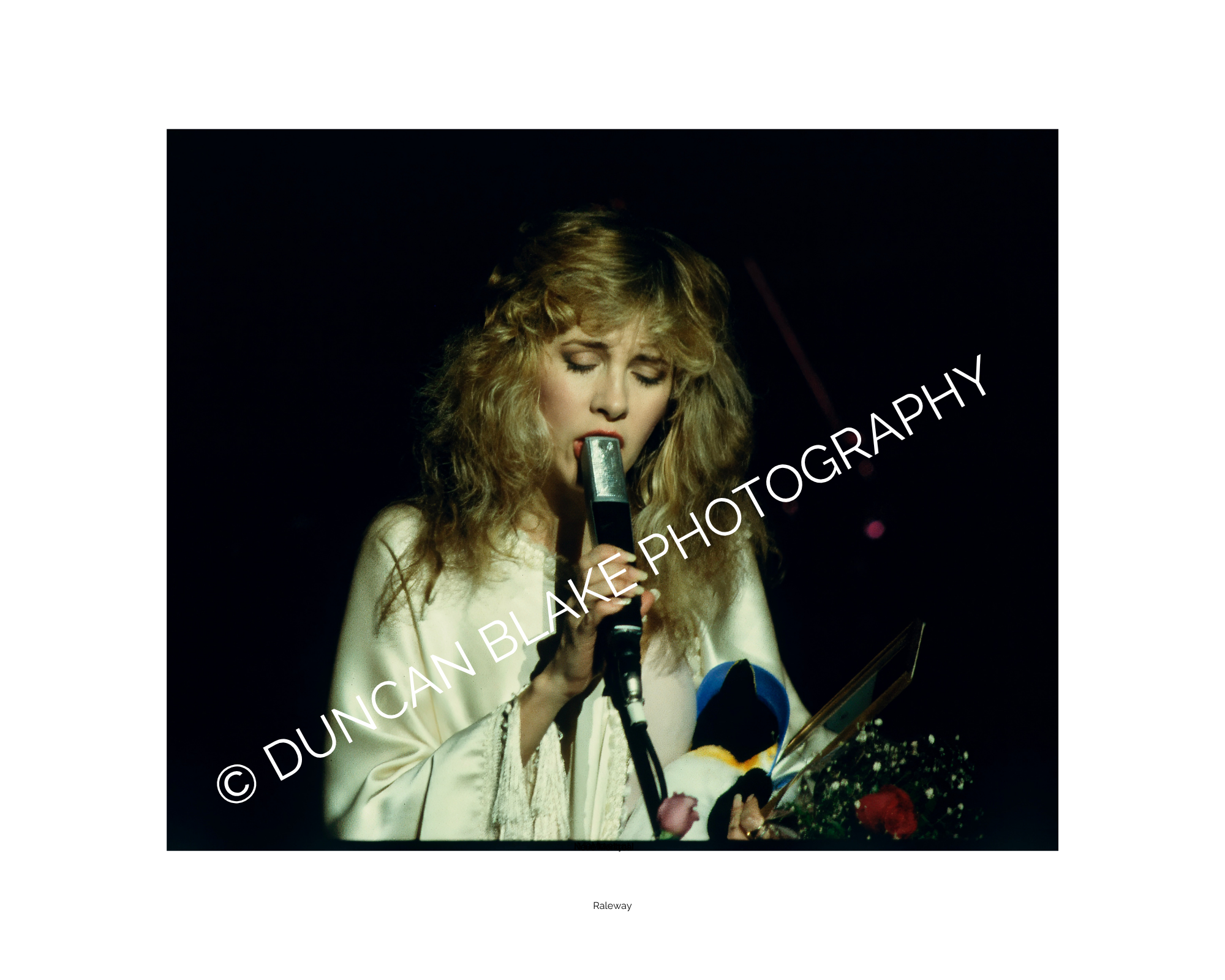Stevie Nicks/White Wing Dove Tour Limited Edition Photograph (1981) - Digital Download