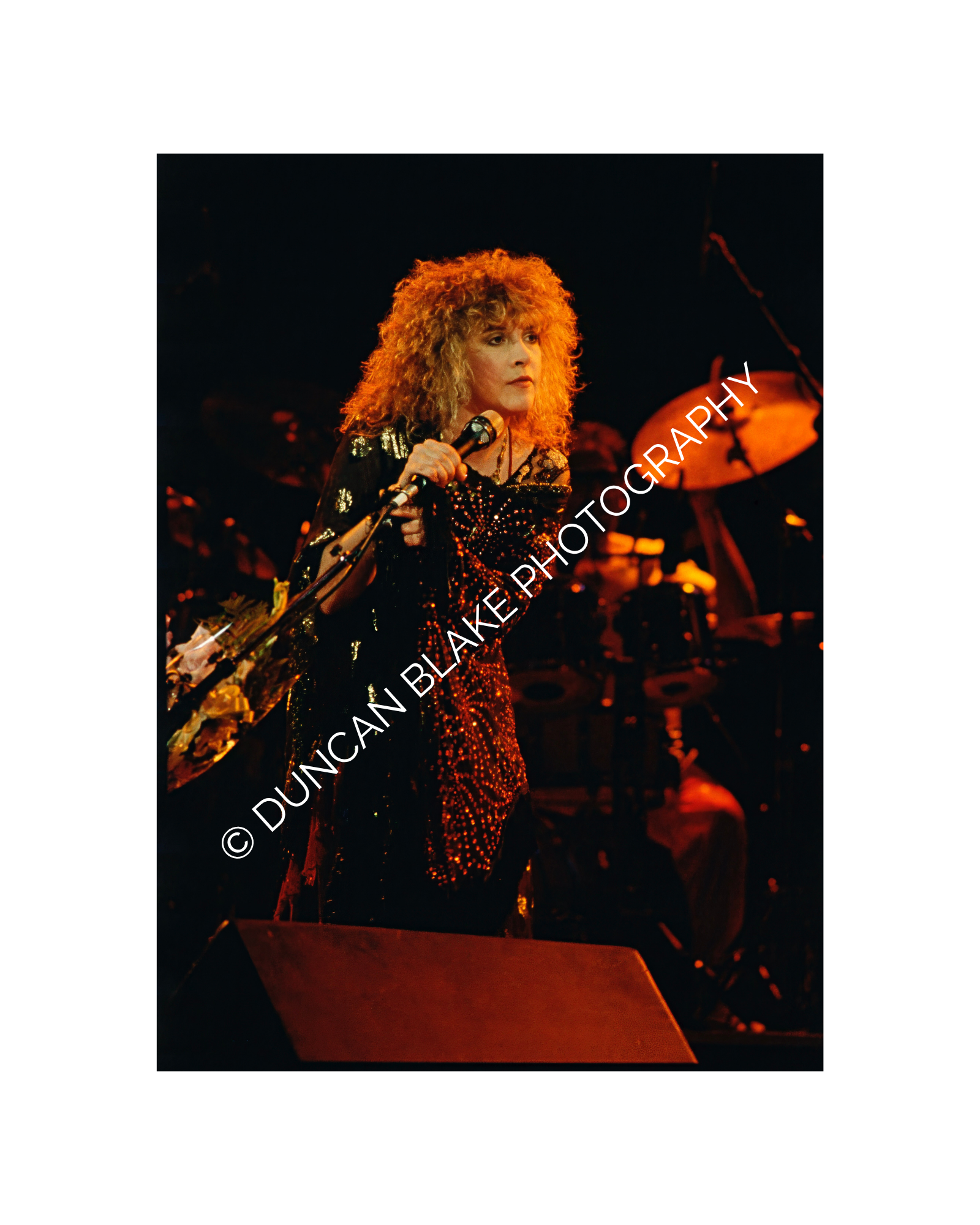Stevie Nicks/The Wild Heart Tour Limited Edition Photograph (1983) - Digital Download