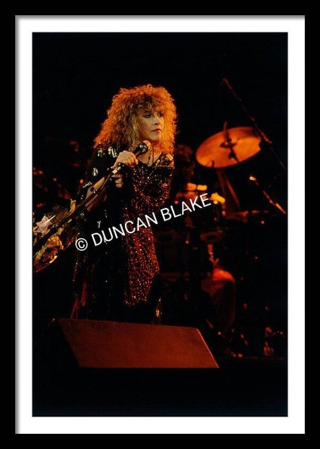 Stevie Nicks/The Wild Heart Tour Limited Edition Photograph (1983)