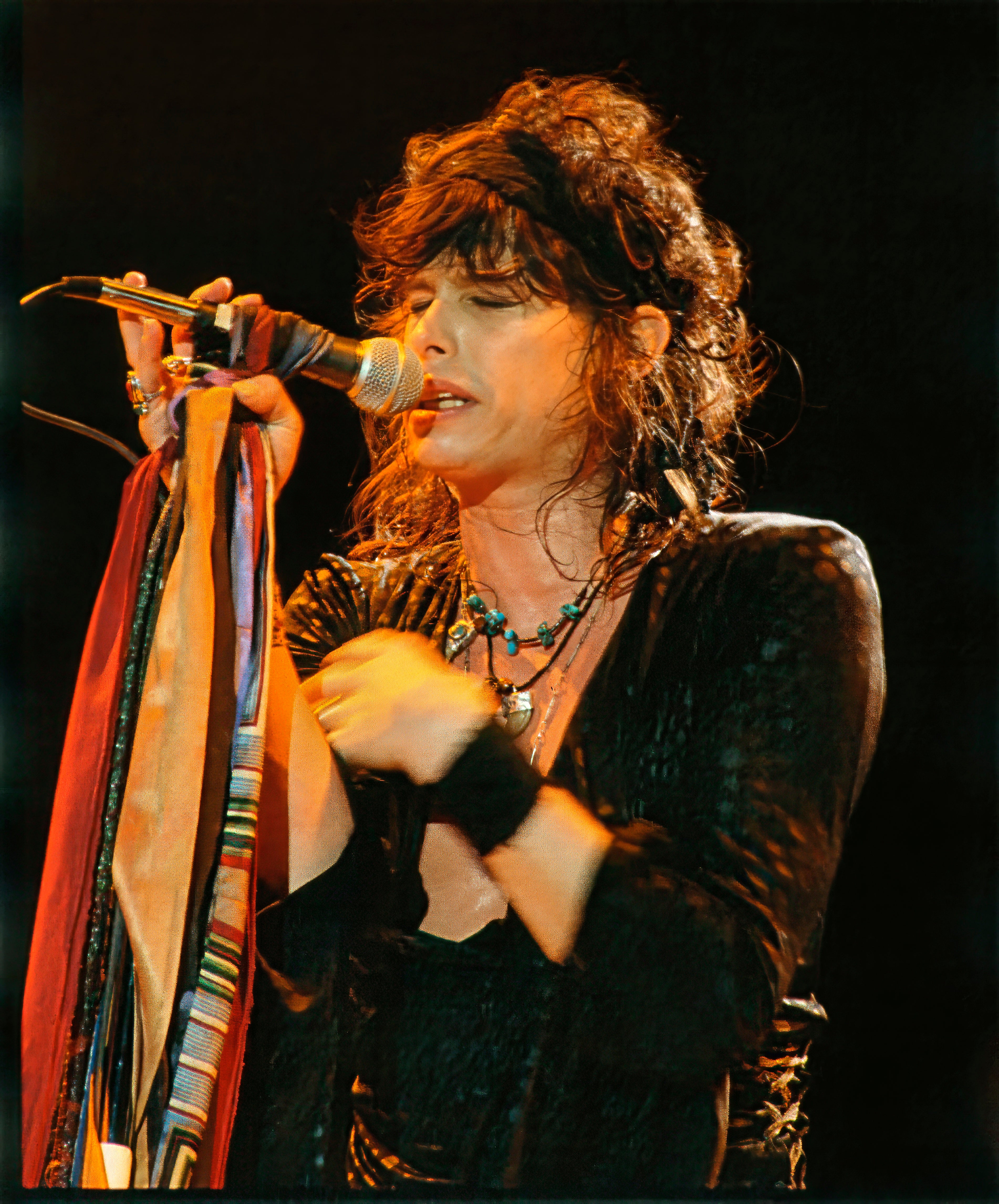 Steven Tyler of Aerosmith Limited Edition Photograph (1983) - Digital Download