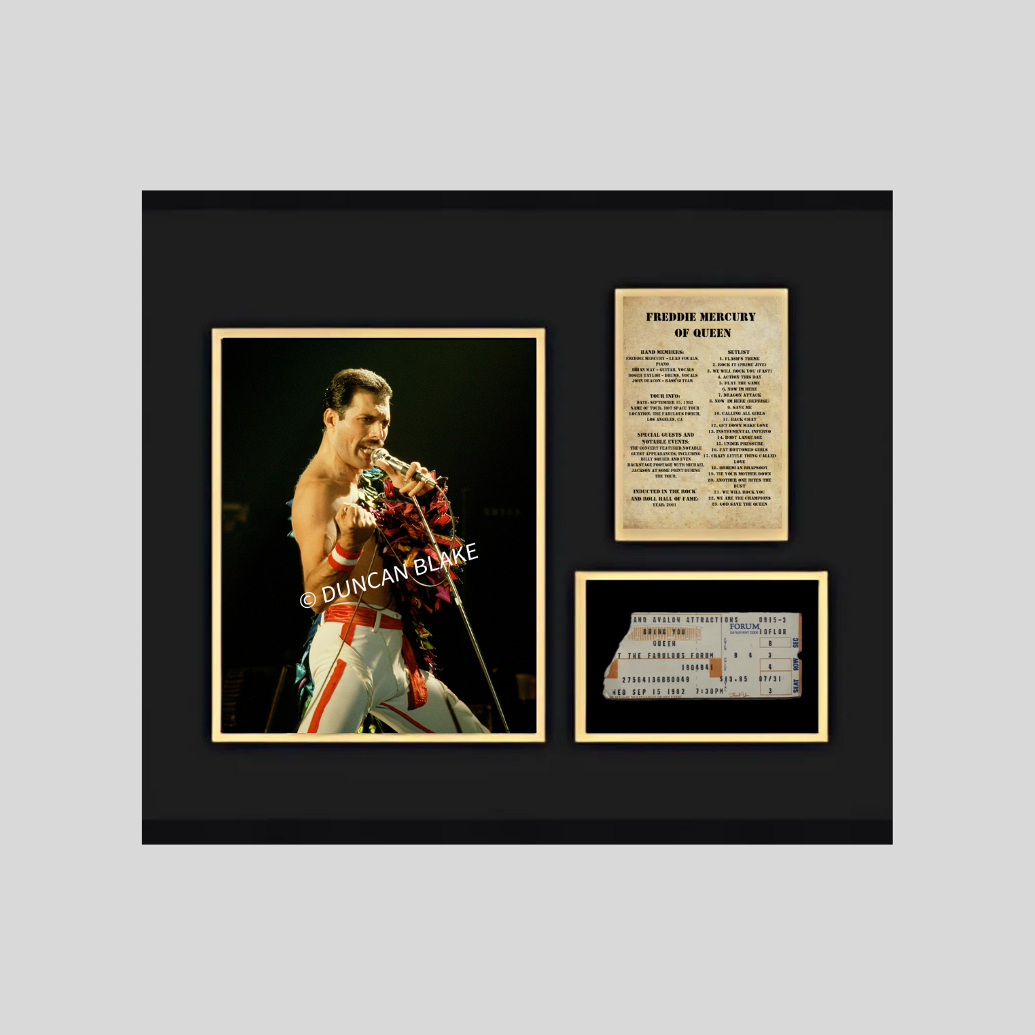 Rock Concert Framed Collage Collectibles