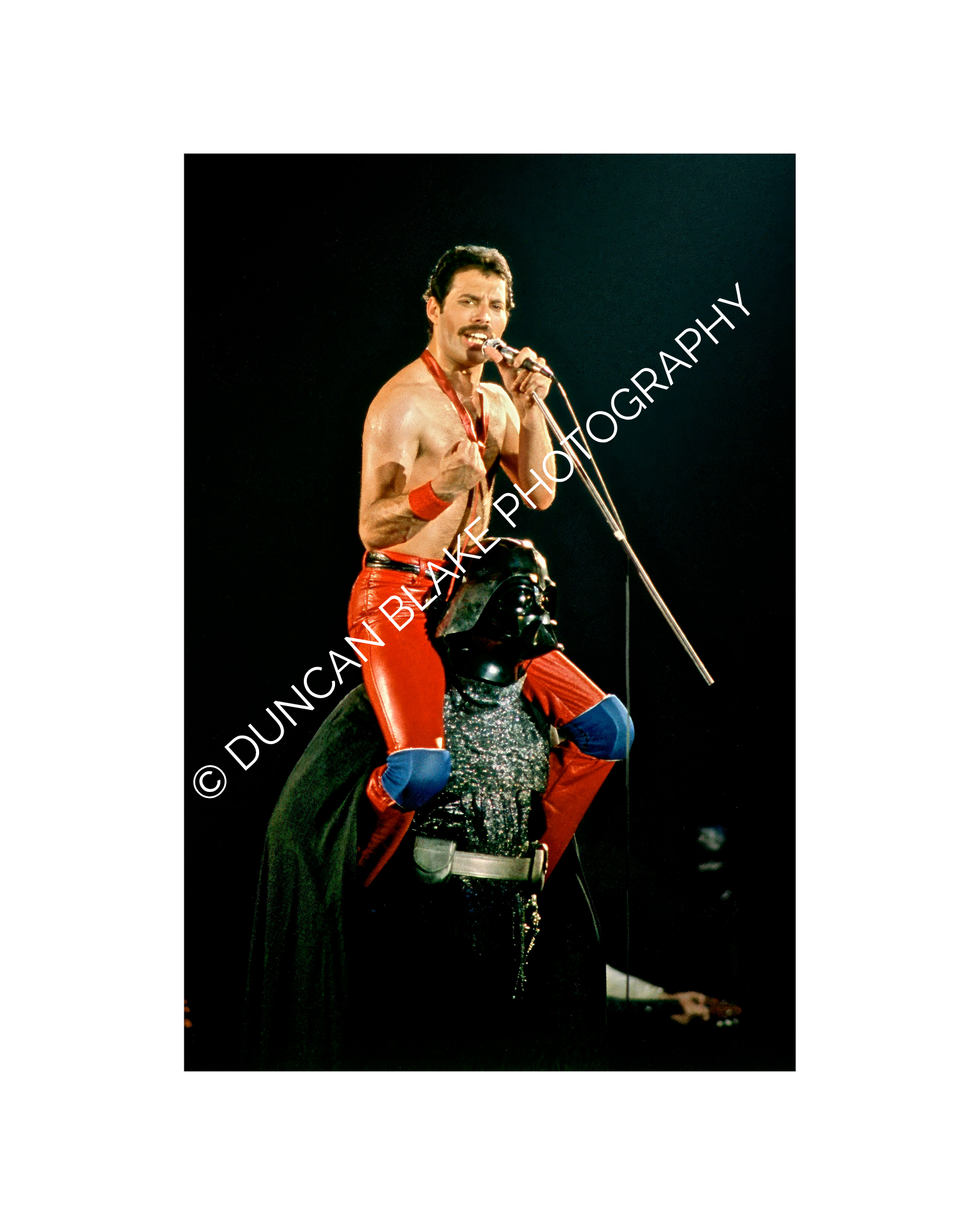 Freddie Mercury of Queen Limited Edition Photograph (1980) - Digital Download