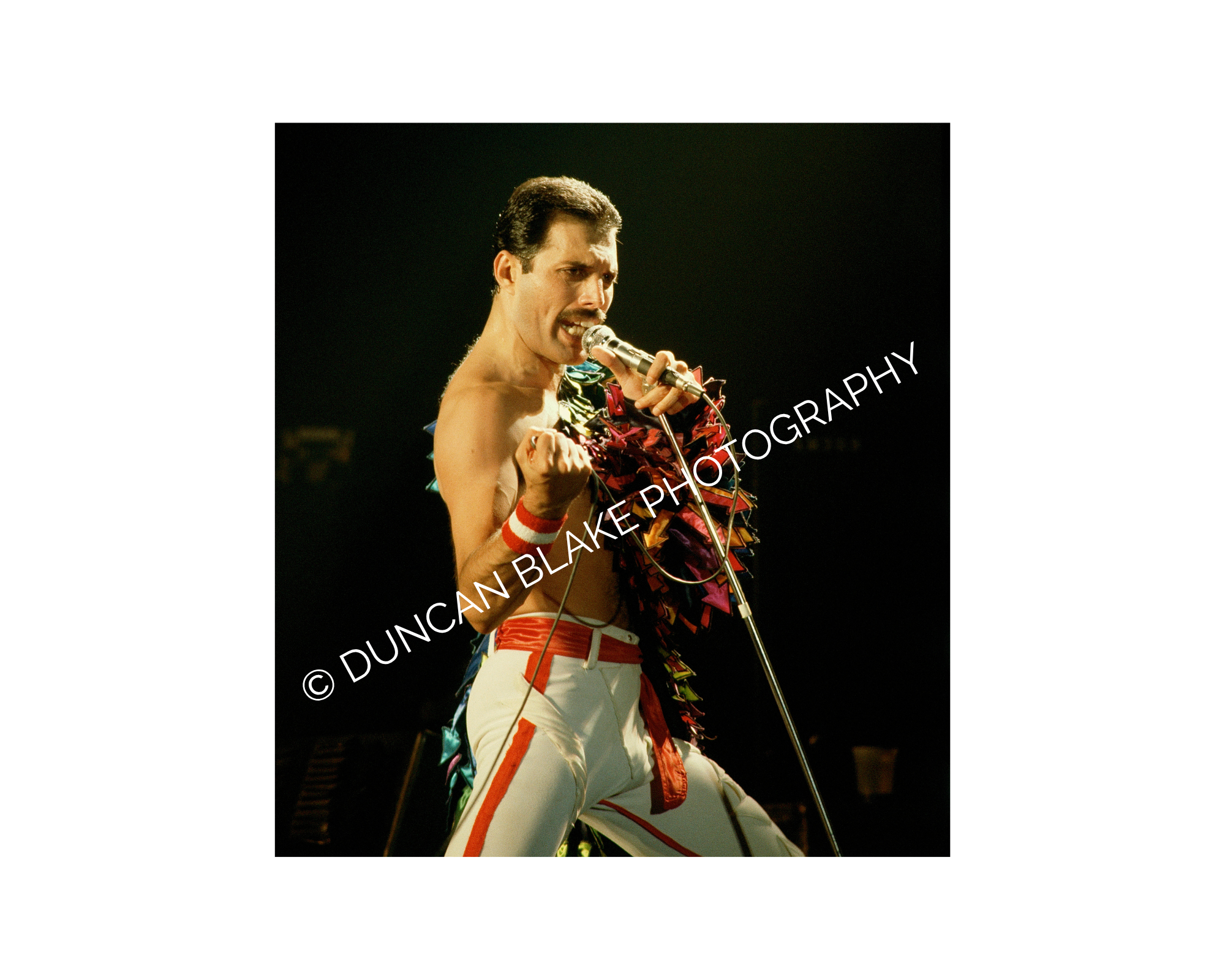 Freddie Mercury of Queen Limited Edition Photograph (1982) - Digital Download