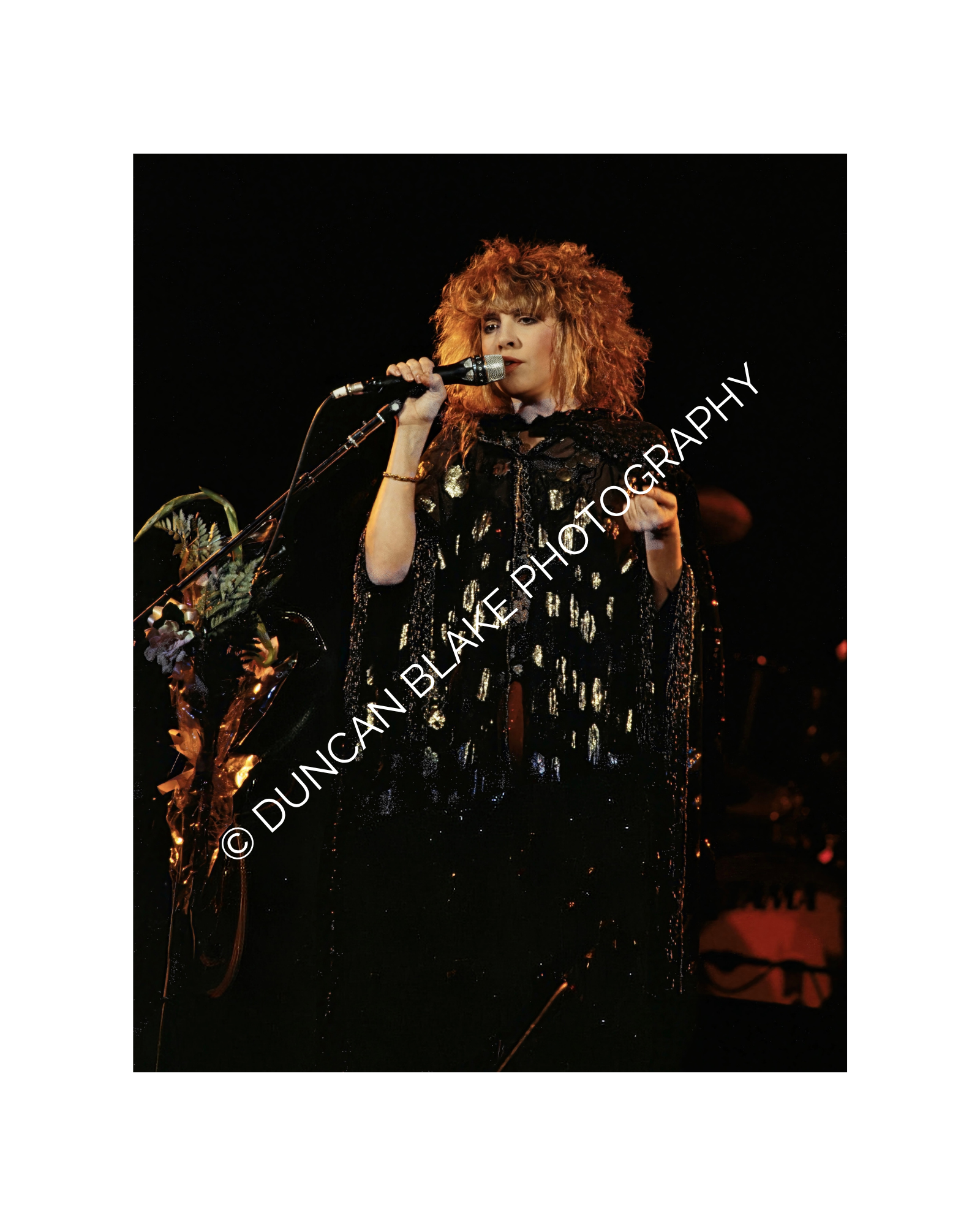 Stevie Nicks / The Wild Heart Tour Limited Edition Photograph (1983) - Digital Download