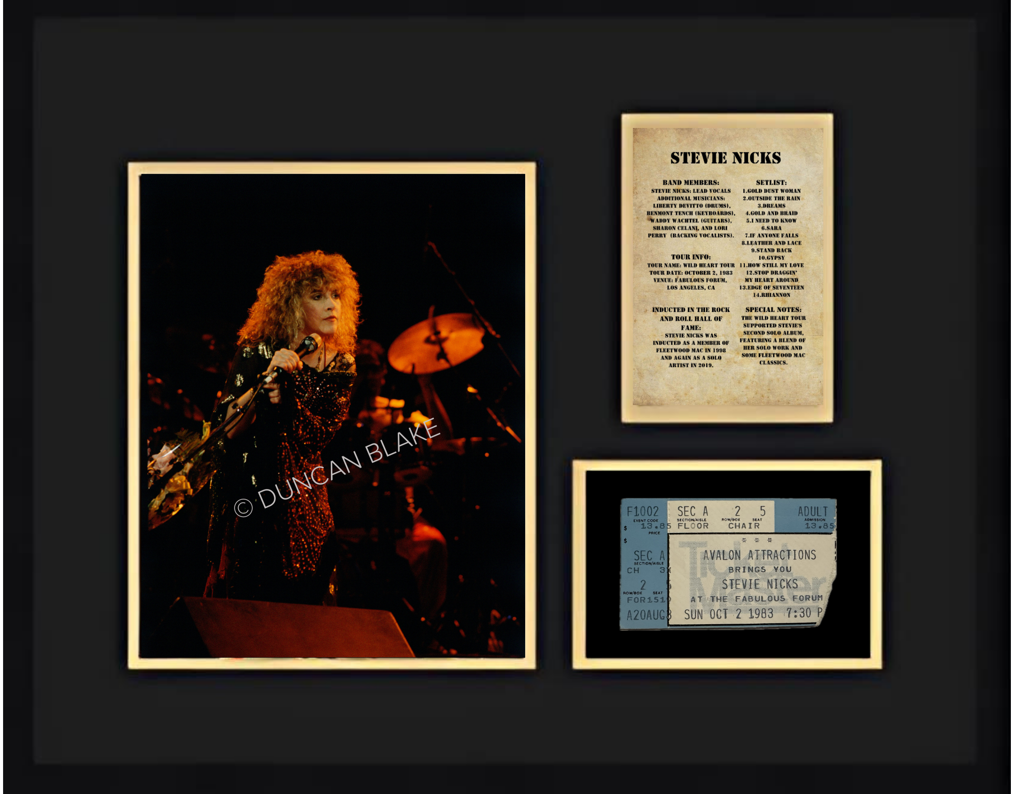 Stevie Nicks/Wild Heart Tour (1983) Framed Collage Collectible