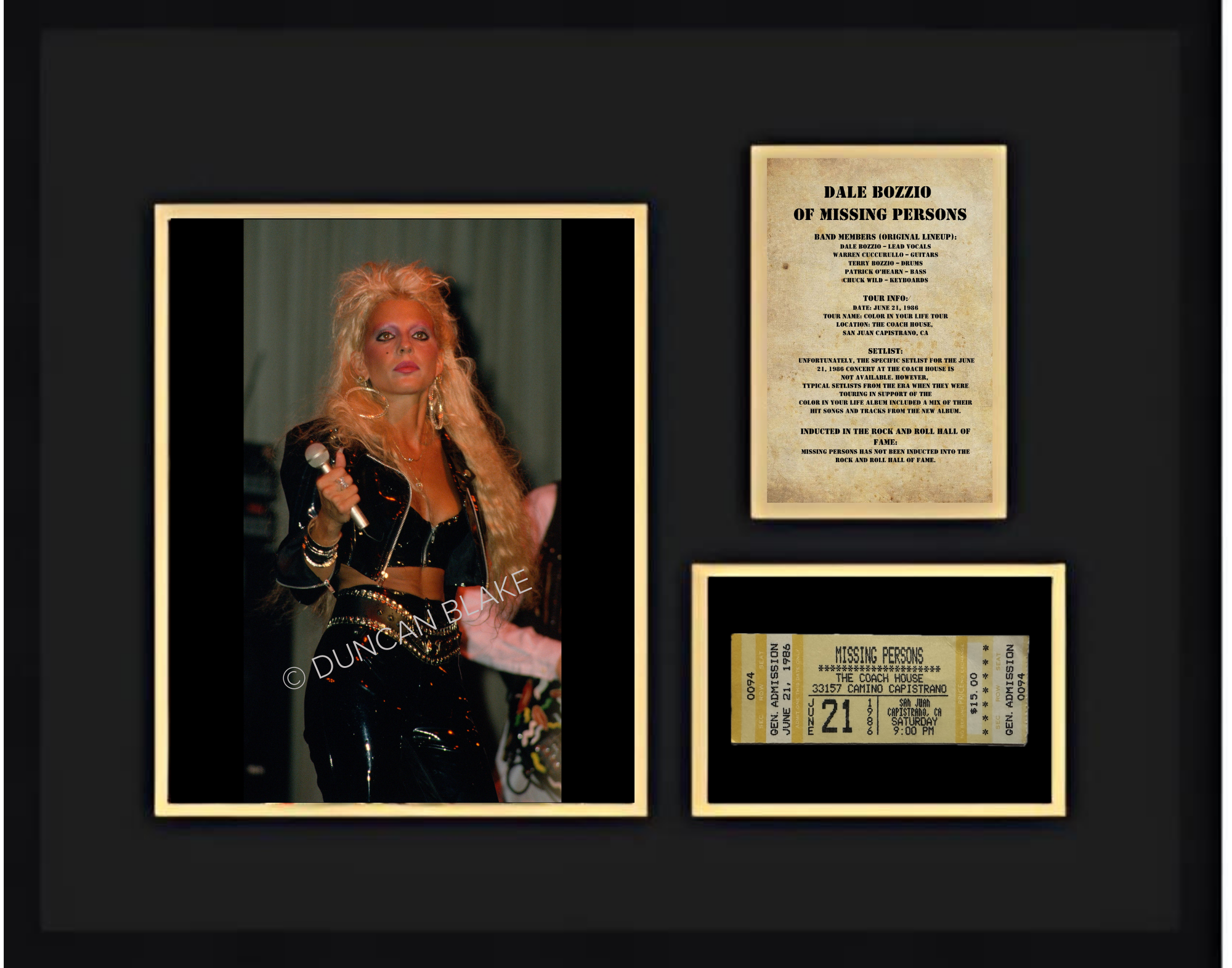 Dale Bozzio of Missing Persons (1986) Framed Collage Collectible