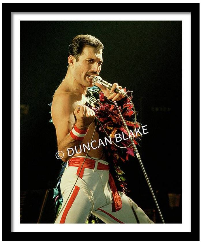Freddie Mercury of Queen Limited Edition Photograph (1982)