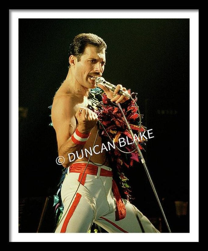 Freddie Mercury of Queen Limited Edition Photograph (1982)