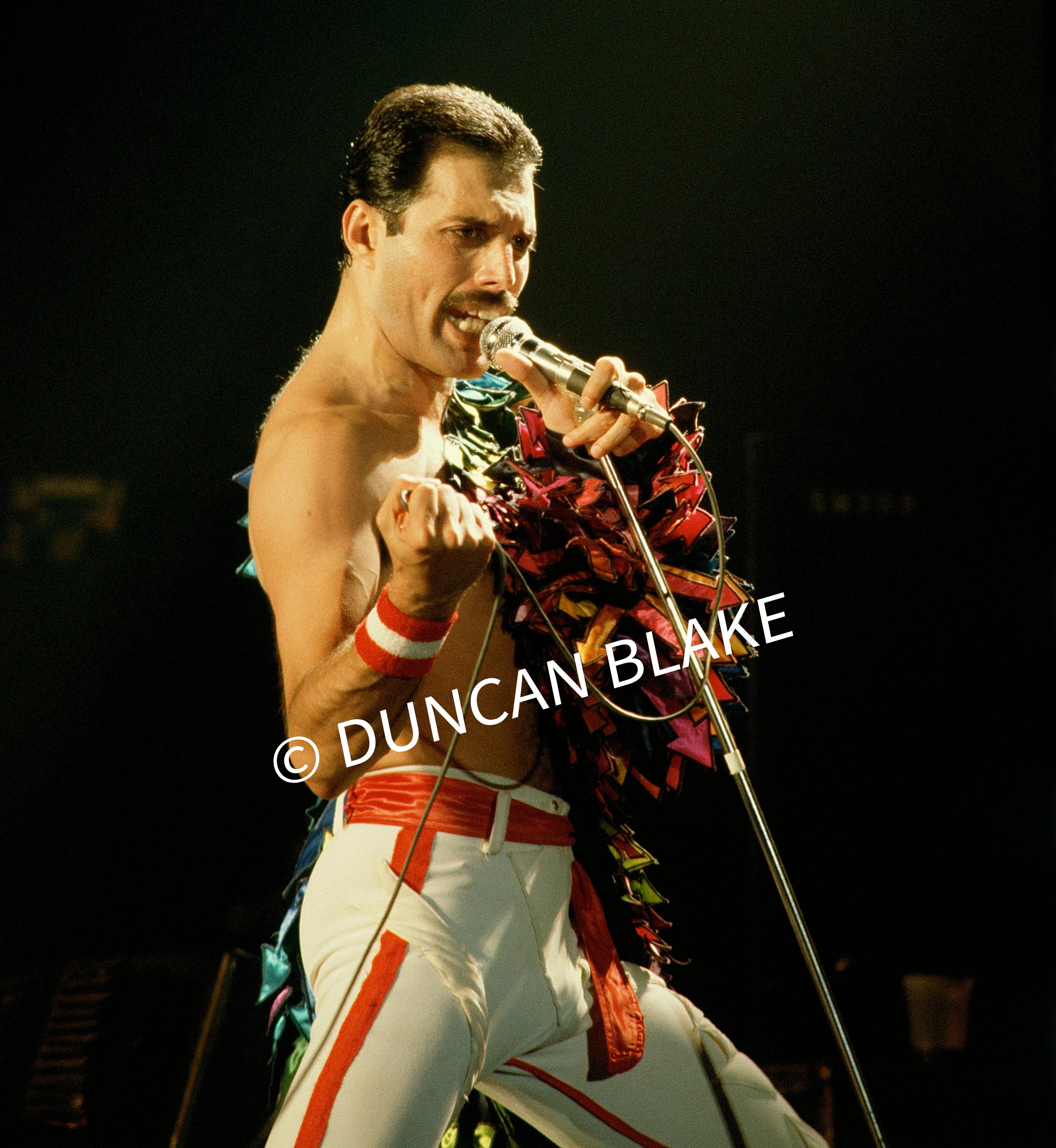 Freddie Mercury of Queen Limited Edition Photograph