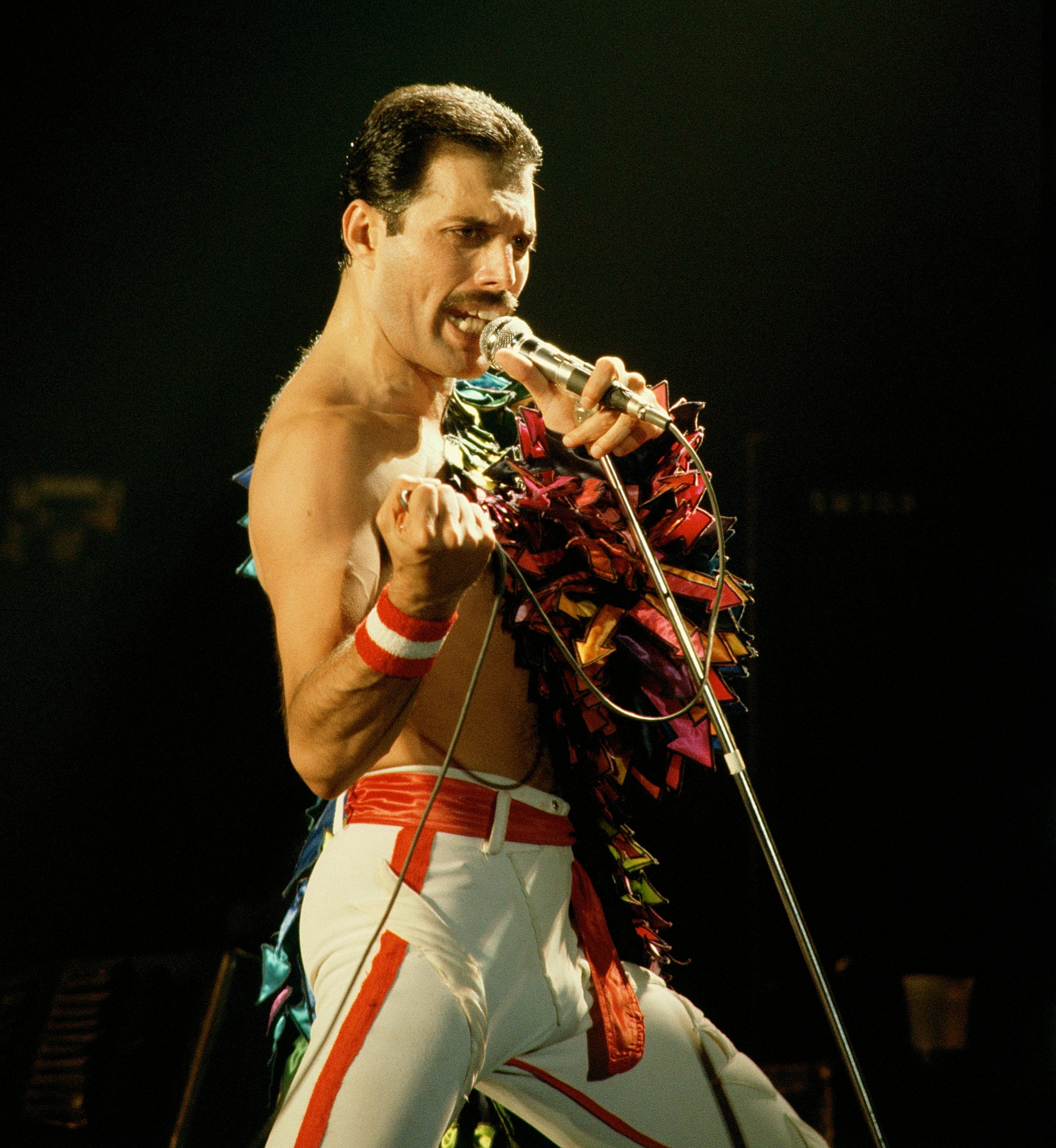 Freddie Mercury of Queen Limited Edition Photograph (1982) - Digital Download