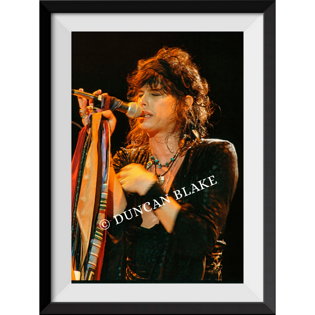 Steven Tyler of Aerosmith Limited Edition Photograph (1983)