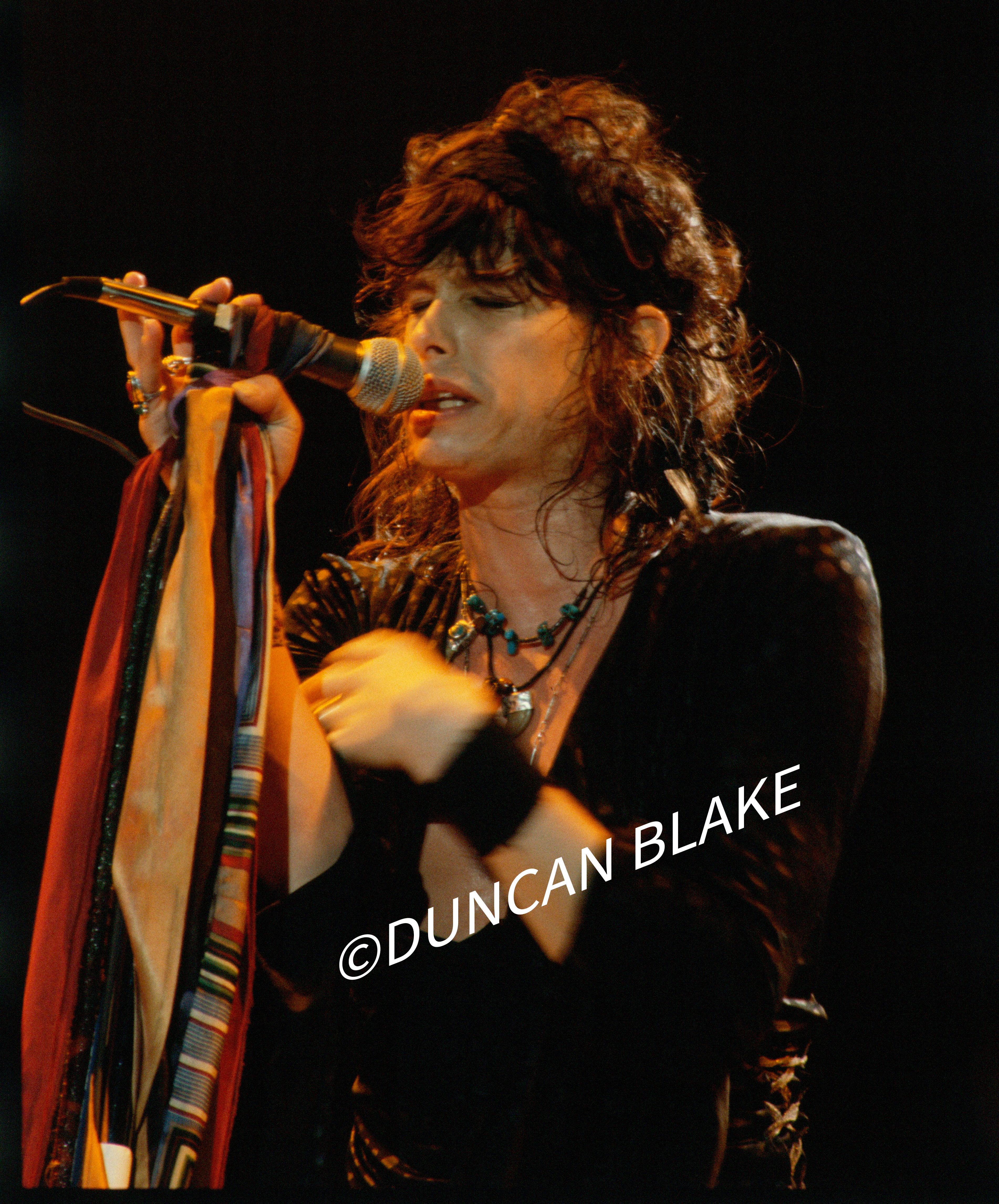 Steven Tyler of Aerosmith Limited Edition Photograph