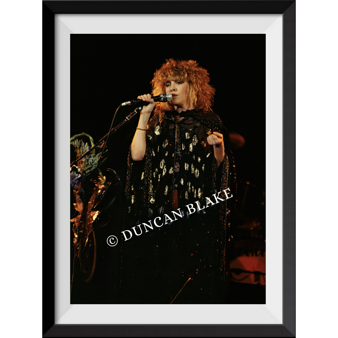 Stevie Nicks / The Wild Heart Tour Limited Edition Photograph (1983)