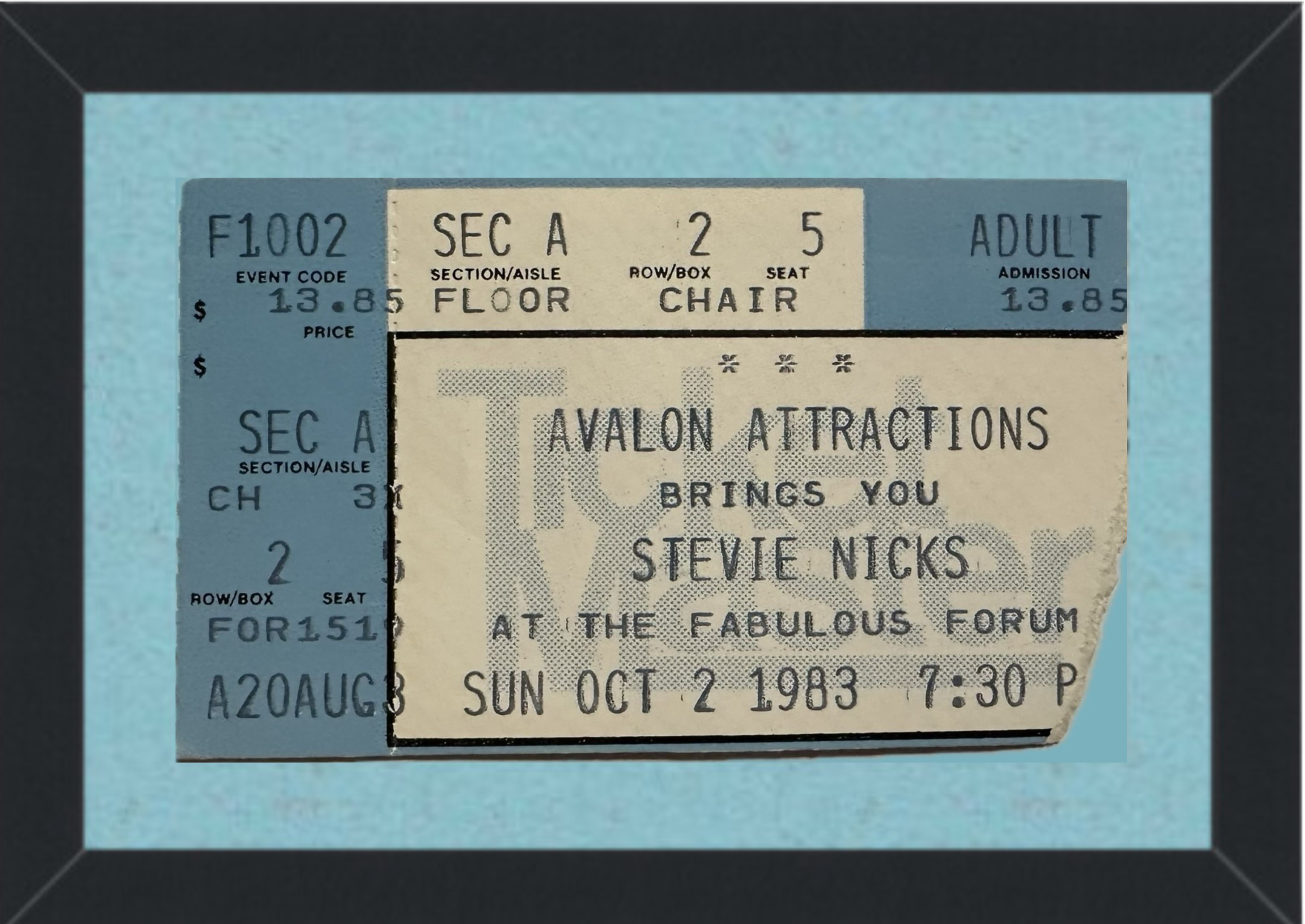 Stevie Nicks Concert Ticket Stub (1983) Framed