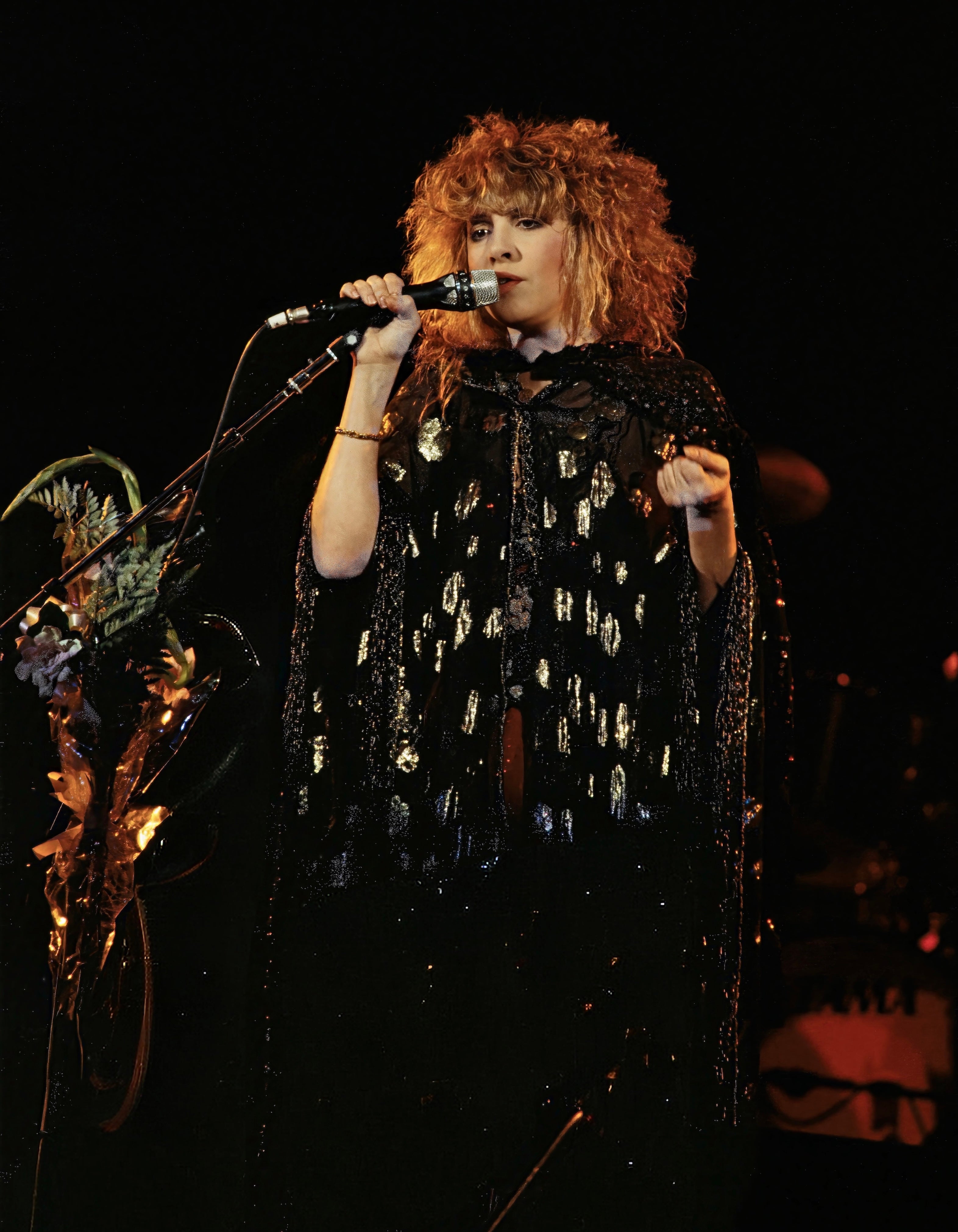 Stevie Nicks / The Wild Heart Tour Limited Edition Photograph (1983)